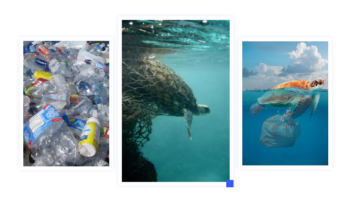 尊龙凯时登录首页提倡环保≠禁塑，塑料污染怎样破局？